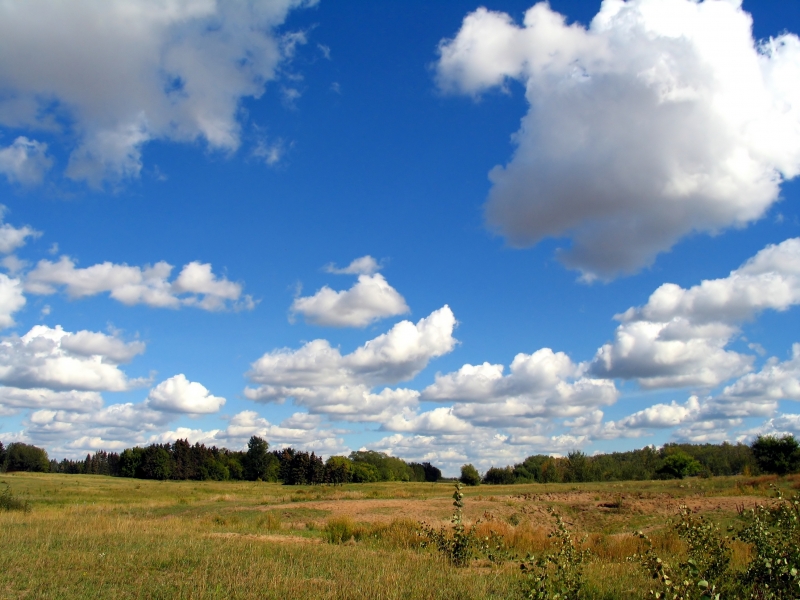 A peaceful meadow in Alberta Canada in autumn