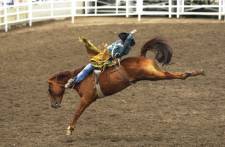 Calgary Stampede