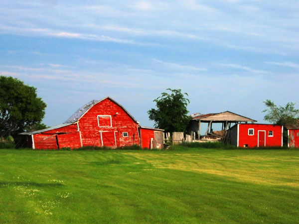 red barn and shed, Manitoba