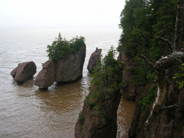 Flower Pot Rocks in Bay of Fundy