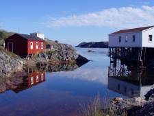 Salvage Harbour, Newfoundland