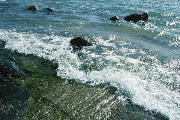 rocky lake shoreline in the Northwest Territories