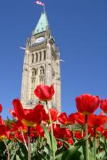 Ottawa's Peace Tower