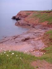 Prince Edward Island shoreline