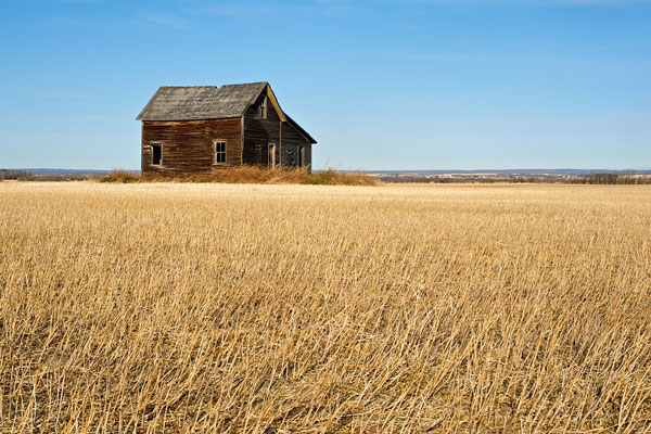 abandoned house in a Saskatchewan wheat field